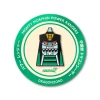 Mighty Morphin Power Rangers Enamel Pin - Dragonzord